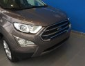 Ford EcoSport Titanium 1.0 Ecoboost 2018 - Bình Dương giá xe Ford Ecosport Titanium 1.0 Ecoboost, tặng BHVC giao ngay - LH 08899 45462