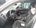 Audi Q5 Cũ   20T 2010 - Xe Cũ Audi Q5 20T 2010