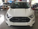 Ford EcoSport   Titanium 1.5L AT 2018 - Bán Ford EcoSport 2018 Titanium 1.5L, đủ màu giao ngay, nhiều quà tặng hấp dẫn, hỗ trợ vay trả góp 80%