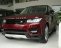 LandRover   Sport HSE  2017 - Chính hãng bán xe Land Rover Rangrover Sport HSE Full - 2017 nhập khẩu, máy dầu - Đủ màu, xe 5 chỗ, giao xe - LH 0976117090