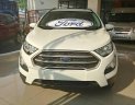 Ford EcoSport 2018 - Cần bán xe Ford EcoSport 2018, màu trắng, giá 545tr