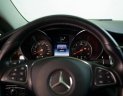 Mercedes-Benz V-Class Cũ Mercedes-Benz  220d 2016 - Xe Cũ Mercedes-Benz V-Class 220d 2016