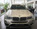 BMW X3   xDrive20i 2018 - Bán xe BMW X3 xDrive20i năm 2018, màu bạc, nhập khẩu