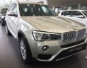 BMW X3   xDrive20i 2018 - Bán xe BMW X3 xDrive20i năm 2018, màu bạc, nhập khẩu