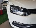 Volkswagen Polo 2017 - Bán Volkswagen Polo năm 2017, màu trắng, nhập khẩu nguyên chiếc