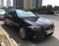 BMW 1 Cũ  5 520i 206 2016 - Xe Cũ BMW 5 520i 2016