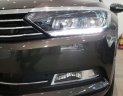 Volkswagen Passat 2016 - Bán Volkswagen Passat Bluemotion 2017, màu nâu, nhập khẩu nguyên chiếc