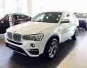 BMW X4 XDrive 20i  2017 - Bán xe BMW X4 XDrive 20i năm 2017, mới 100%