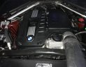 BMW X6   2008 - Bán ô tô BMW X6 đời 2008, màu đỏ, giá tốt
