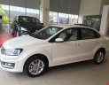 Volkswagen Polo 2018 - Bán ô tô Volkswagen Polo đời 2018, màu trắng, xe nhập, giá 699tr, liên hệ: 0931.618.658