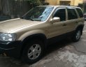 Ford Escape G 2004 - Bán xe Ford Escape XLT 3.0 đời 2004 màu xám vàng