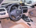 BMW 3 Series 320i 2016 - Bán ô tô BMW 3 Series 320i đời 2016, màu đen, nhập khẩu nguyên chiếc