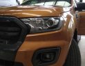 Ford Ranger 2.0L Wildtrak 4x4 AT 2018 - Bán xe Ford Ranger 2.0L Wildtrak 4x4 AT 2018, hỗ trợ vay vốn, giao xe tận nhà, đăng ký và đăng kiểm xe, LH: 093.543.7595
