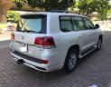 Toyota Land Cruiser 4.5V8 2016 - Bán Toyota Land Cruiser 4.5V8 năm sản xuất 2016, màu trắng