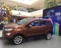 Ford EcoSport Titanium 1.0L 2018 - Bán xe Ford EcoSport Titanium 1.0L sản xuất 2018