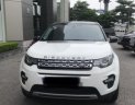 LandRover Discovery   2.0 AT  2016 - Bán LandRover Discovery 2.0 AT sản xuất 2016, màu trắng
