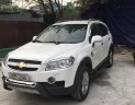 Chevrolet Captiva 2008 - Cần bán lại xe Chevrolet Captiva năm sản xuất 2008, màu trắng còn mới