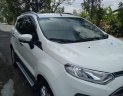 Ford EcoSport Titanium 1.5AT 2016 - Bán Ford EcoSport Titanium 1.5AT đời 2016, màu trắng như mới