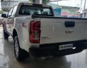 Chevrolet Colorado LTZ 2.5 MT 4x4 2018 - Cần bán xe Chevrolet Colorado LTZ 2.5 MT 4x4 đời 2018, màu trắng, xe nhập giá cạnh tranh