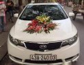 Kia Forte 2013 - Bán Kia Forte đời 2013, màu trắng