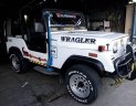 Jeep Wrangler 2002 - Cần bán gấp Jeep Wrangler năm 2002, màu trắng, nhập khẩu