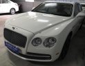 Bentley Continental 6.0 L 2014 - Auto T&D bán xe Bentley Continental 6.0 L năm 2014, màu trắng, nhập khẩu