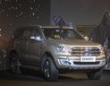 Ford Everest Titanium 2.0L 4x4 AT 2018 - Bán xe Ford Everest Titanium 2.0L 4x4 AT đời 2018, màu xám, xe nhập