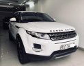 LandRover Evoque Evoque 2015 - Bán LandRover Evoque sản xuất 2015, xe đi ít màu trắng, xe nhập cam kết chất lượng bao test hãng