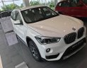 BMW X1   2018 - Bmw Phú Mỹ Hưng - BMW X1 Sdrive18i sx 2018 - mới 100% nhập khẩu nguyên chiếc