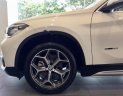 BMW X1 sDriver18i 2018 - Bán xe BMW X1 sDriver18i đời 2018, màu trắng, nhập khẩu