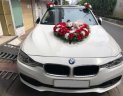 BMW 3 Series 320i 2015 - Cần bán lại xe BMW 3 Series 320i sản xuất 2015 