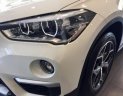 BMW X1 sDriver18i 2018 - Bán xe BMW X1 sDriver18i đời 2018, màu trắng, nhập khẩu