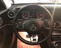 Mercedes-Benz E class 250 2017 - Cần bán xe Mercedes 250 đời 2017, màu đen mới 99%