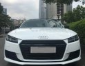 Audi TT 2.0 TFSI 2015 - Bán Audi TT 2.0 TFSI sản xuất năm 2015, màu trắng, nhập khẩu nguyên chiếc chính chủ