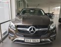 Mercedes-Benz GLE-Class GLE Class 2017 - Cần bán lại xe Mercedes GLE Class đời 2017, màu nâu, nhập khẩu nguyên chiếc như mới