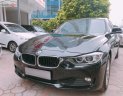 BMW 3 Series 320i 2015 - Bán BMW 3 Series 320i đời 2015, màu đen, xe nhập