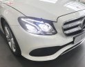 Mercedes-Benz E class 250 2018 - Bán ô tô Mercedes 250 2018, màu trắng