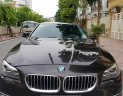 BMW 5 Series 520i 2015 - Bán ô tô BMW 5 Series 520i đời 2015, màu đen, xe nhập