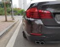 BMW 5 Series 520i 2015 - Bán ô tô BMW 5 Series 520i đời 2015, màu đen, xe nhập