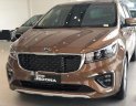 Kia Sedona 2018 - Bán xe Kia Sedona năm sản xuất 2018, màu nâu