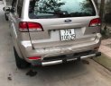 Ford Escape XLS 2009 - Cần bán gấp xe cũ Ford Escape XLS 2009, màu vàng