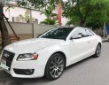 Audi A5   2.0 T 2010 - Bán Audi A5 2.0 T đời 2010, màu trắng, nhập khẩu nguyên chiếc