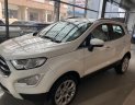 Ford EcoSport 2018 - Bán Ford Ecosport 2018 150 nhận xe, đủ màu giao ngay, giảm ngay tiền mặt kèm nhiều quà tặng hấp dẫn, LH: 0902 724 140