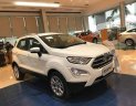 Ford EcoSport  Titanium AT 2018 - Bán Ford EcoSport năm sản xuất 2018, màu trắng giá tốt