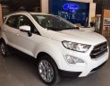 Ford EcoSport  Titanium AT 2018 - Bán Ford EcoSport năm sản xuất 2018, màu trắng giá tốt