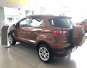 Ford EcoSport 1.0L AT Titanium 2019 - Ford Ecosport Titanium tại Ninh Bình giao ngay, đủ màu, giảm cực mạnh, hỗ trợ 80%, 8 năm - LH: 033.613.5555