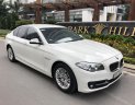 BMW 5 Series 520i 2015 - Cần bán xe BMW 5 Series sản xuất 2015 màu trắng