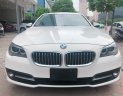 BMW 5 Series 520i 2014 - Cần bán lại xe BMW 5 Series 520i đời 2015, màu trắng, xe nhập xe gia đình