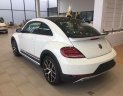 Volkswagen Beetle 2018 - Bán xe Volkswagen Beetle đời 2018, màu trắng, xe nhập, có sẵn giao ngay. Liên hệ: 0931.618.658