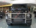 Mercedes-Benz G class G63 AMG 2018 - Bán xe Mercedes G63 AMG sản xuất năm 2018, màu đen, nhập khẩu